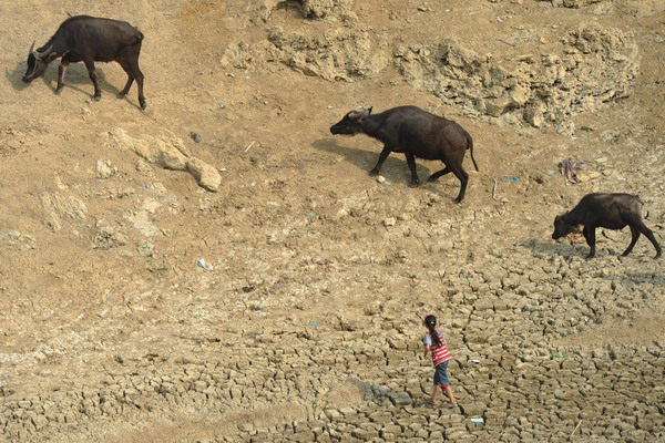 Guizhou desperate for water as drought persists