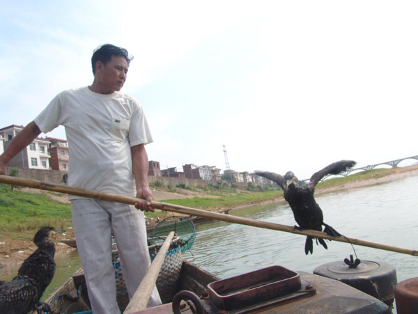 The flying fish hunters of China's past