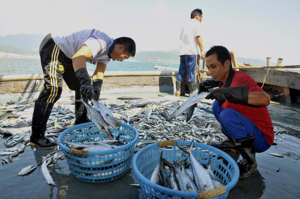 Fishing season beckons in S China Sea