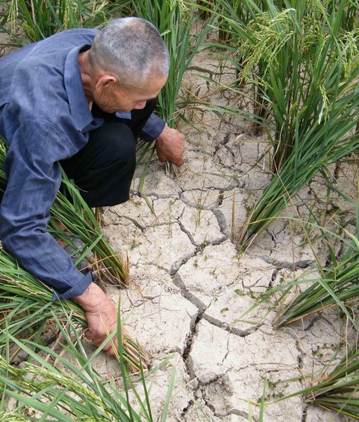 Brutal droughts plague China