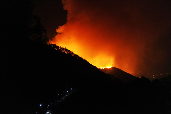 2,400 firefighters battling forest fire