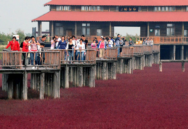 Red-blanketed beach in NE China