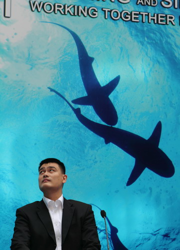 Shark fin soup is cruel: Yao Ming