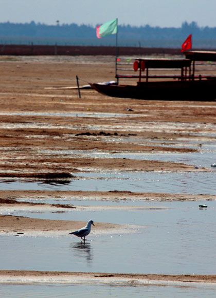 China's largest desert lake shrinking