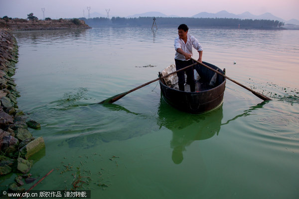 Blue-green algae threatens Chaohu Lake