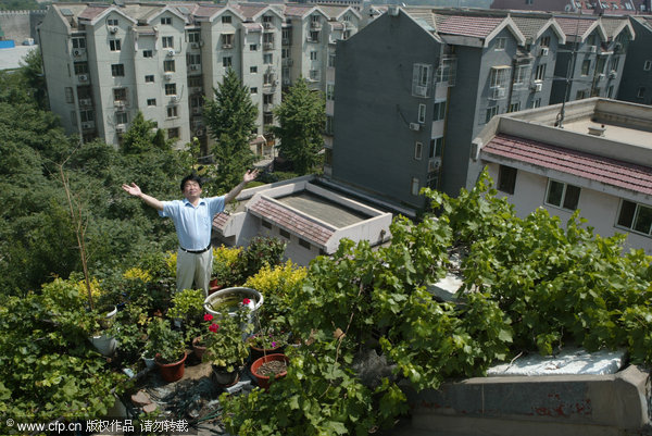 More green terraces in Beijing soon