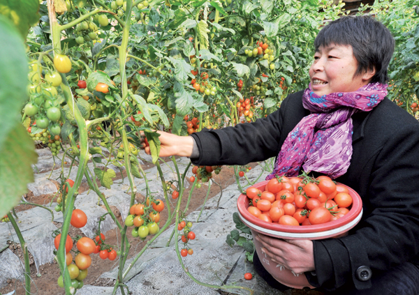 Demand for organic food sprouts up at Spring Festival