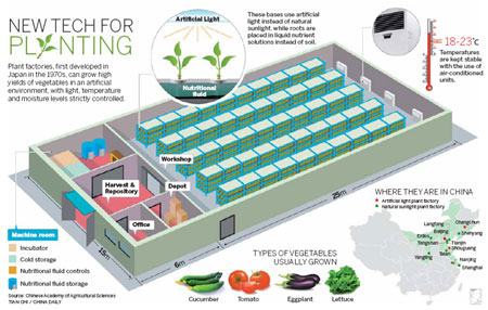 Vegetable factory a farming solution