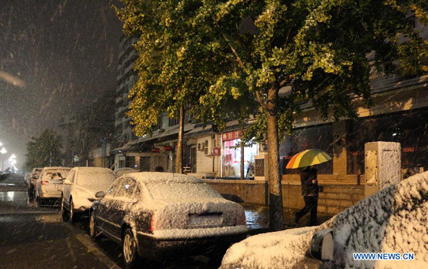 Cold wave brings heavy snow, sleet to Beijing