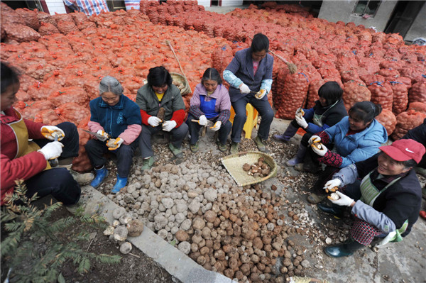 Economic transformation bears fruit in Guizhou