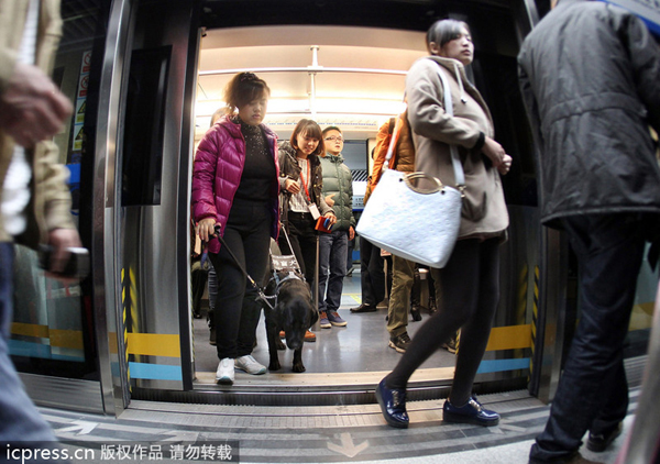 Chengdu metro welcomes 1st guide dog