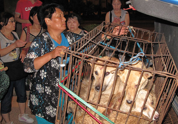 Dog meat lovers pay no heed to festival protesters