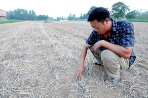 Lingering drought hits Hubei