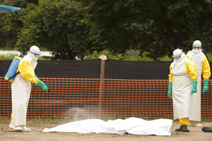 HK gov't discusses ways to handle Ebola cases