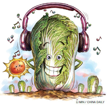 cabbage becomes gourmet food