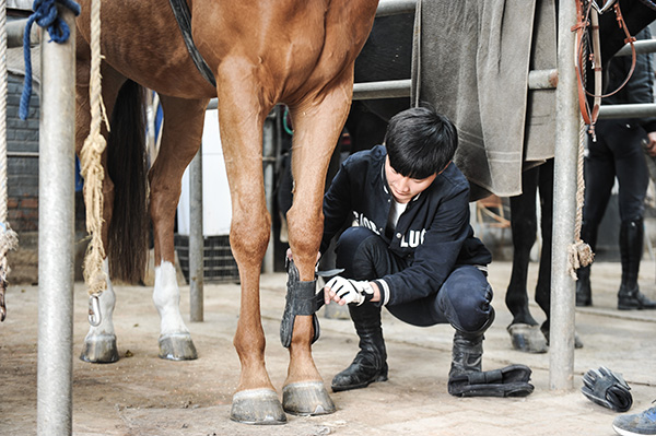 Equestrians gain currency in China
