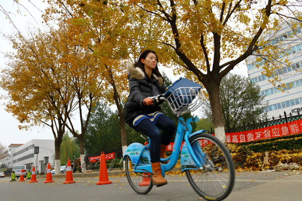 Cars' share of Beijing transport declines: survey