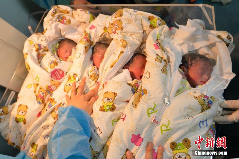 Extremely rare identical quadruplets born