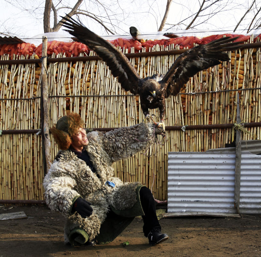 Manchu people find hunting partner in eagles