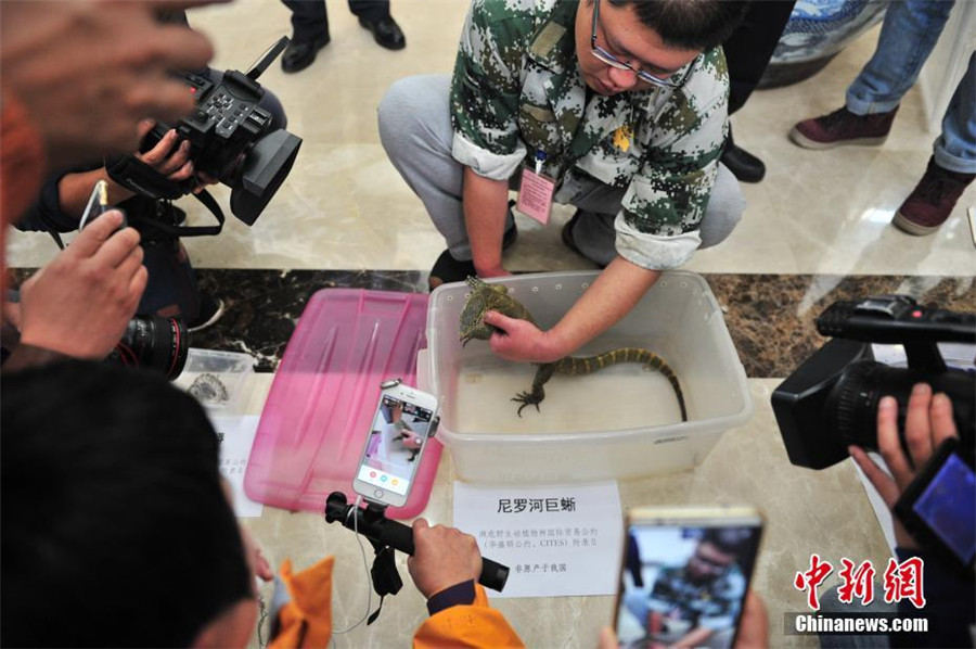 Police crack down on illegal online animal trade