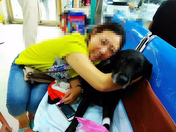 Dog owner donates dialysis equipment to clinic after pet dies