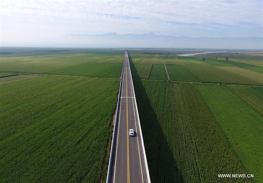 New highway along Yellow River opens to traffic