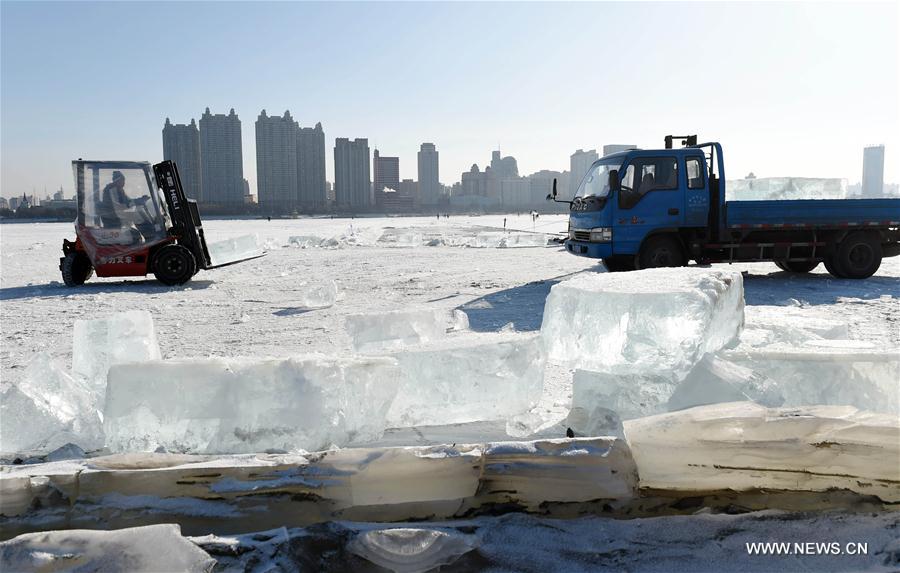 Ice collecting season begins in Harbin