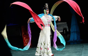 Documentary shines light on Peking Opera