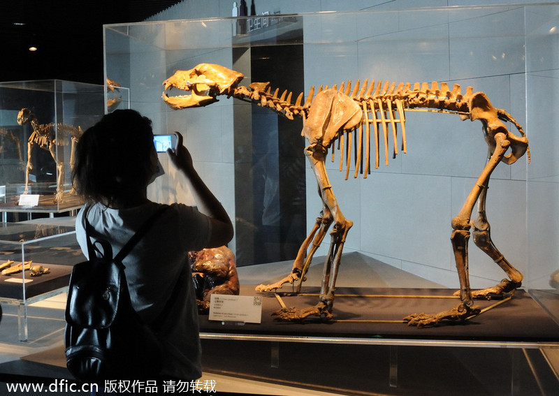 New Peking Man Relics Museum opens