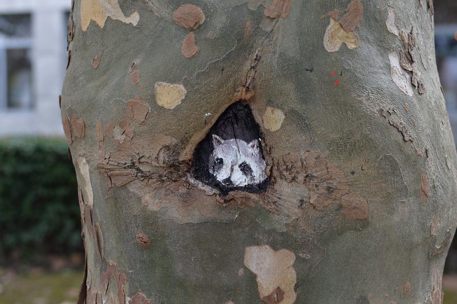 tree hollow paintings created to greet freshmen