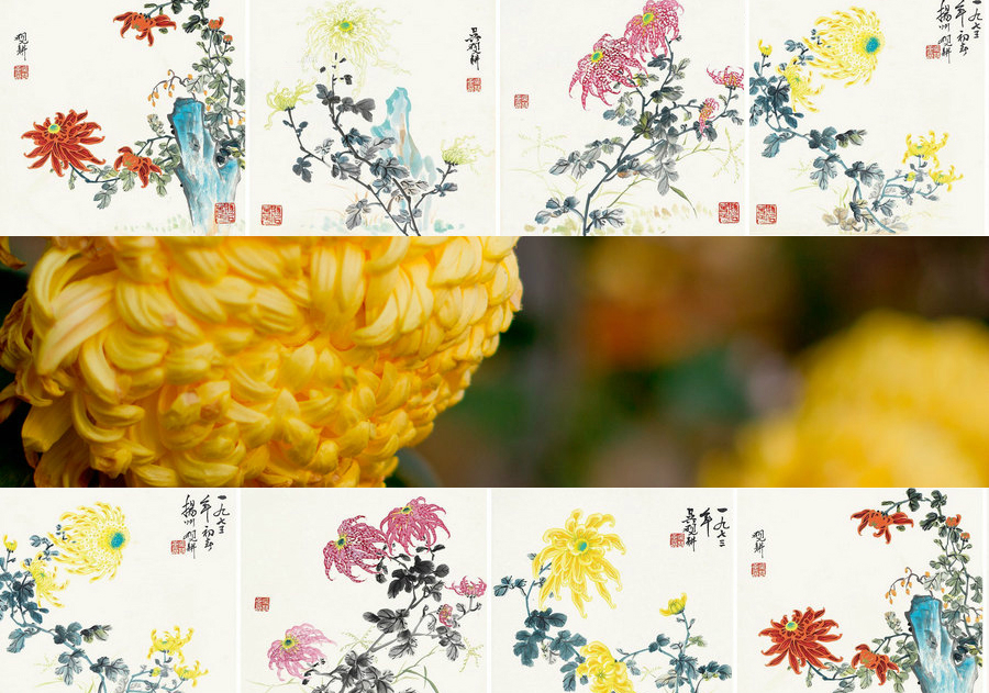 Poetic beauty: 10 most significant flowers in China