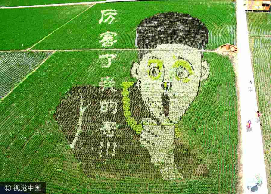 Paddy field in Shenyang transformed into art