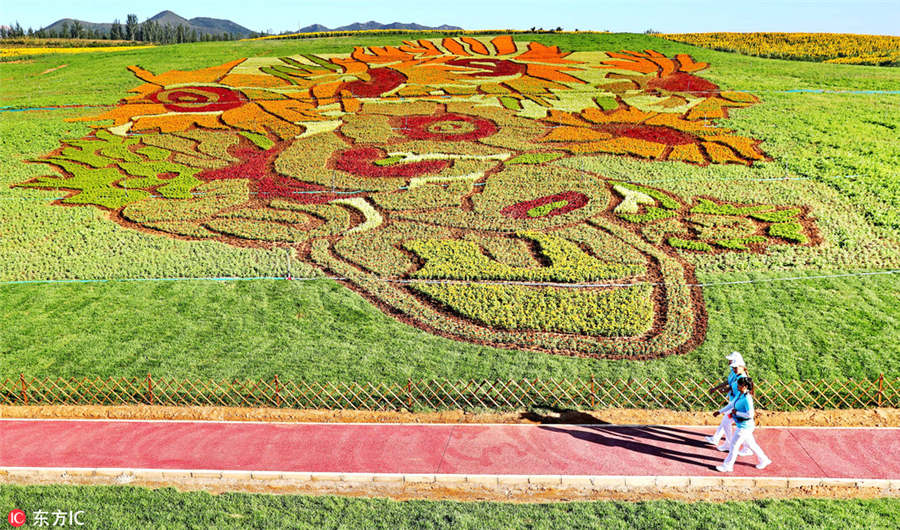 Van Gogh's 'Sunflower' blooms in Hebei