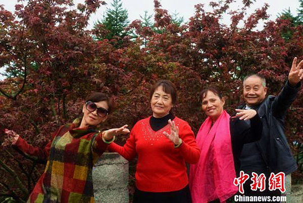 Activities to welcome Double Ninth Festival