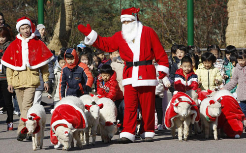 Sheep wear Christmas costumes in Seoul