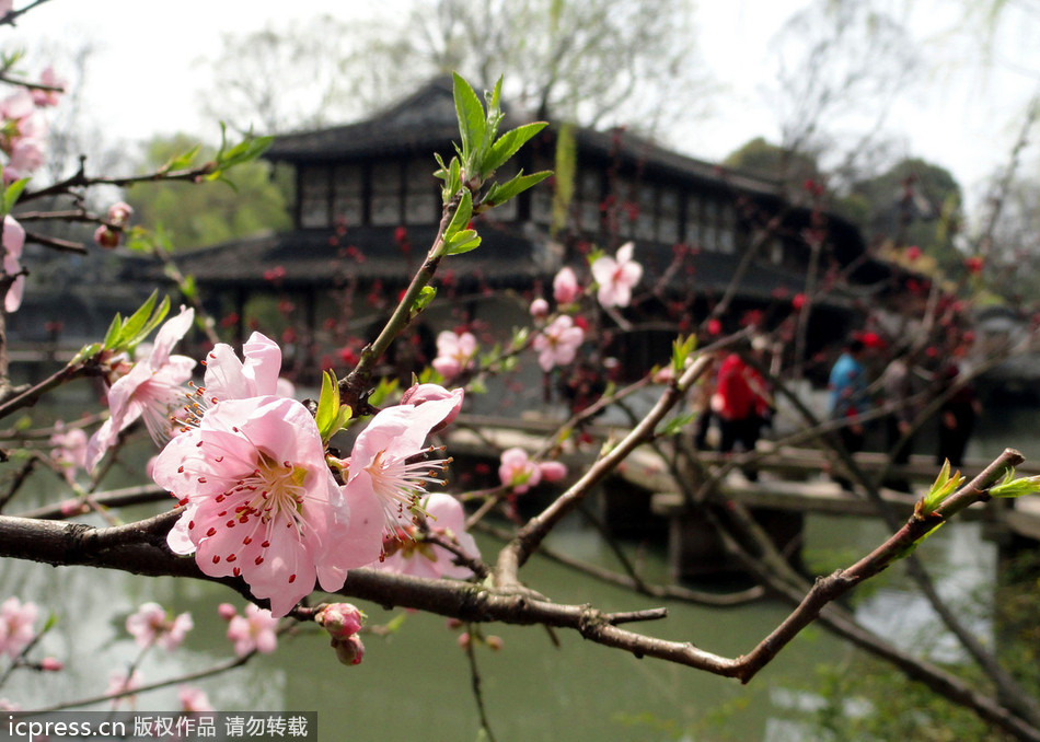 Jiangnan gardens