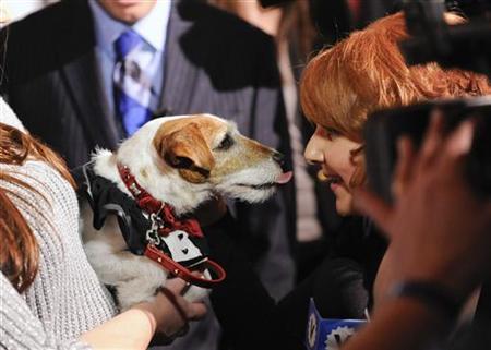 Oscar off limits for 'Artist' dog