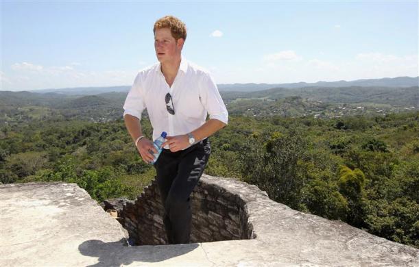 Profile: Prince Harry