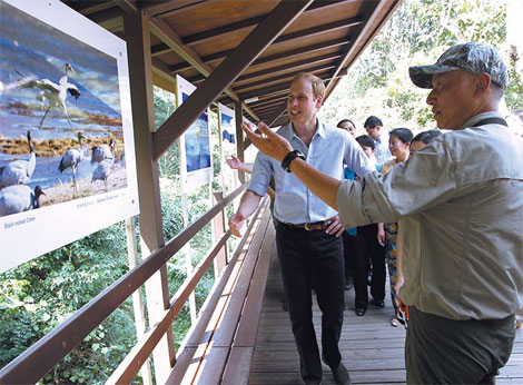 UK royal visit wins hearts and minds in China