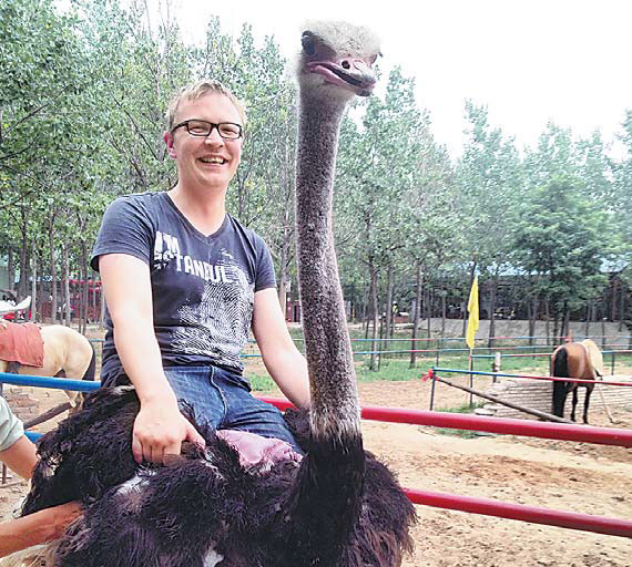 A rodeo with ostriches