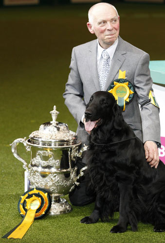 the Crufts Dog Show in Birmingham