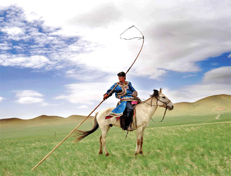 mongolian grass