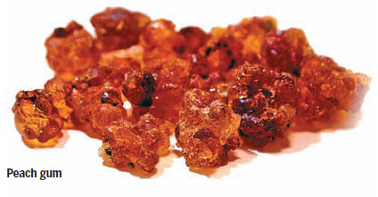 Soap beans, silver ears and peach gum