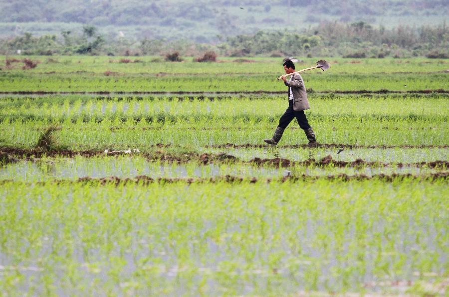 Farmers busy with planting crops in SW China