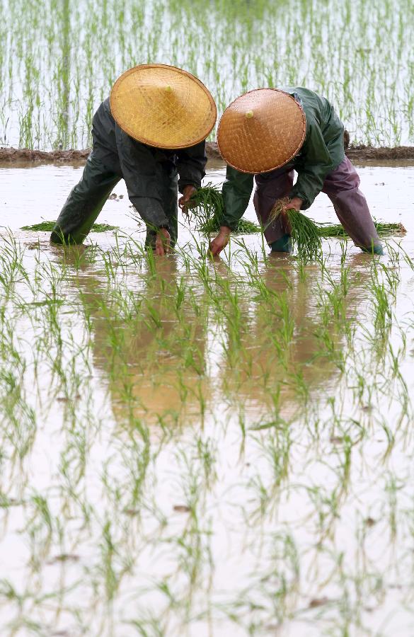 Farmers busy with planting crops in SW China