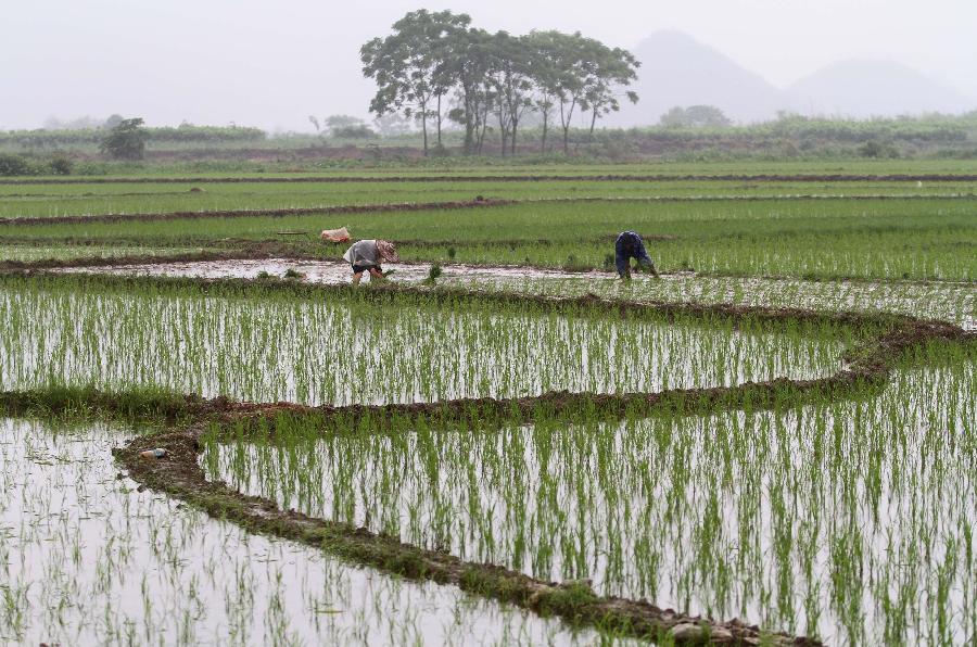 Farmers busy with planting crops in SW China