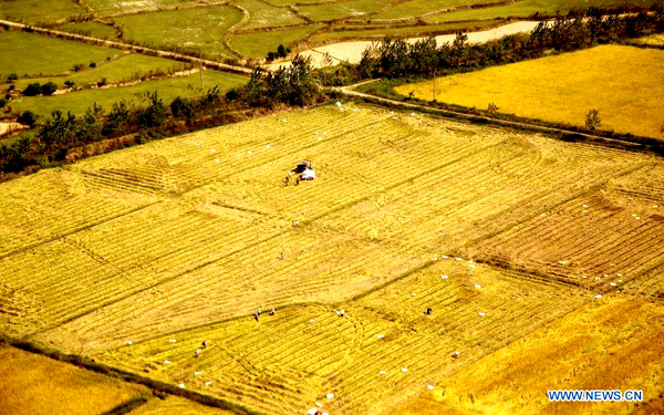 China greets harvest days for autumn crops