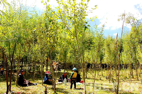 Tibetans enjoy 'lingka' in late Autumn