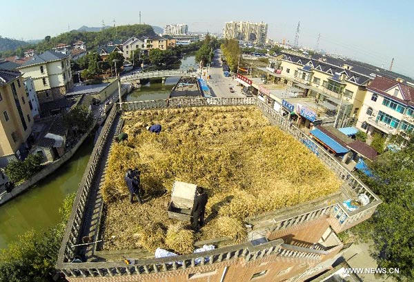 Villager turns his house roof into farmland