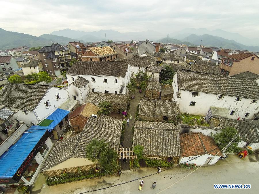 'Swinery tea bar' in China's Zhejiang